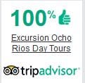 Excursion ocho Rios trip advisor